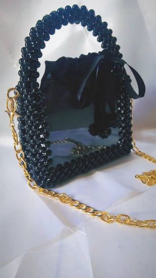 Picture of Lulu bag with clear plexi front