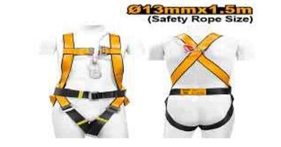 Picture of Safety Harness