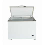 Picture of 11ft Flat Crystal Freezer with Fixed Foam Door Inverter Motor